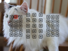 自动对焦非万能 佳能摄影大赛作品点评