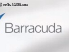 梭子鱼推出AI解决方案实时防御鱼叉式网络钓鱼和网络欺诈