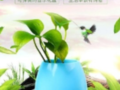 触碰的升级之作 音乐花盆玩法花样多