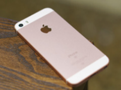 没人爱用小屏？iPhone SE二代不会有了