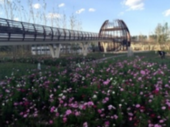 农村电商倒逼农业物联网加速  养殖户日常维护实现手机操控