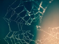 想充分利用NFV?Cloud Native是个好方法