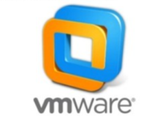 如何优化VMware Linux虚拟机的性能？