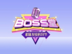 BOSS堂小米联合创始人直言：和苏宁一起“发烧”