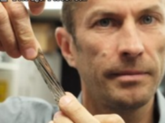 IBM研究重大突破 一盒磁带存储330TB数据