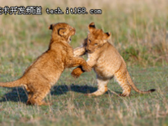 兄弟反目？细数Java中不能用的5大C＃功能！