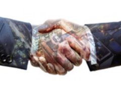 梭子鱼网络宣布伟仕佳杰成为中国地区总代理