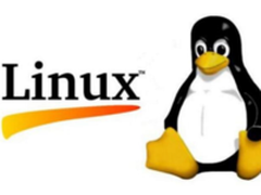 什么是Linux?现代数据中心的一个强大组件