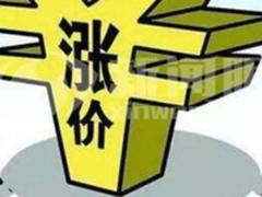 360手机Vizza今日发布 售价喜人完虐红米4X