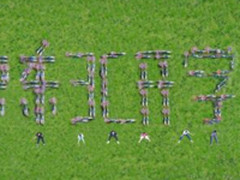 白条免息贼便宜！看大学生学霸开学季如何算计京东