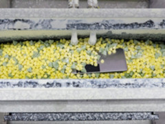 魅族科研室开放日 干货黑科技有哪些？