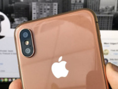 苹果官网透露信息 iPhone8腮红金版可能是真的