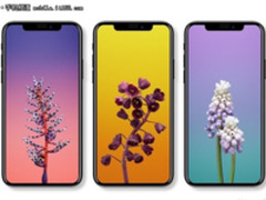 iPhone8定妆照曝光 三款手机均支持无线充电
