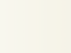 拒绝套路回归真诚 Flyme非正式会谈引发共鸣