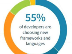 “快速数据”影响开发者新框架和语言选择？