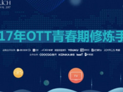 OTT营销进入快车道 风行携秒针共建行业规范