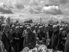 2017第四季度 索尼青年摄影师开启报名通道 