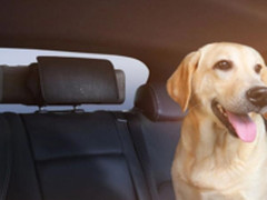 449元 小米米家车载空气净化器升级版发布