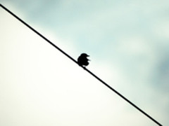 对Java说再见,Kotlin即将改变整个安卓生态