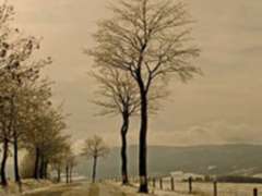 三星“润·除菌”加湿空净带来补水新选择