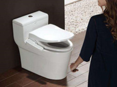 智能马桶盖选即热还是储热？看清需求是关键