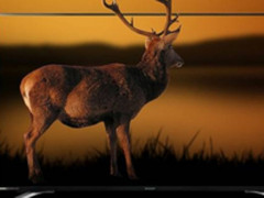 电视更新换代快 该从哪些方面找平衡点