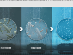 今冬雾霾初显 呼吸保卫战即将再次打响