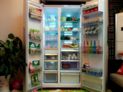 八款最适合中国家庭的大容量对开门冰箱