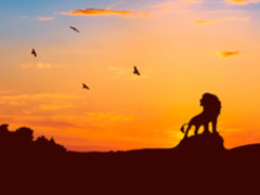 EasyStack跻身OpenStack报告全球八大企业