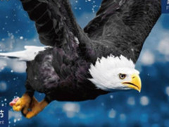 “双11”买投影仪，请一定要先看完这篇文章