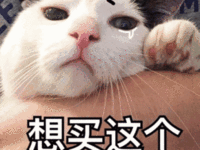 科技界春晚又来啦，锤子11月7号发布会！