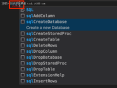“小清新”新姿势，用VS Code 来写SQL查询