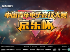 京东王者大赛冠军ADC秒杀KPL职业战队！