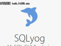 干货：不用插件就能管理好你的My SQL数据库