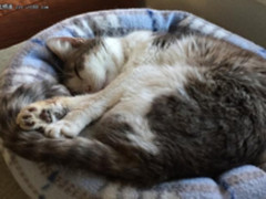 2018尚未普及的五大技术,你真的多虑了!