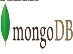 MongoDB入门：从学习explain（  ）开始