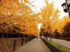 三星Galaxy Tab A 2017让深秋的周末更温馨