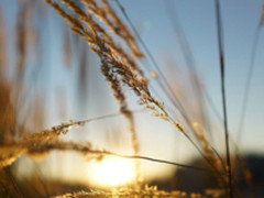 索尼黑卡RX1RM2    全画幅超便携旗舰机