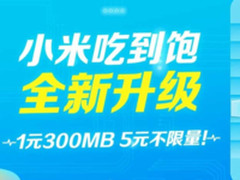 MIUI双12送惊喜 小米吃到饱套餐全面升级