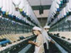 基于面向服务的纺织制造执行系统建模