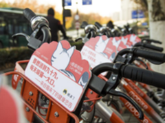 这波合作很强势！“AR云撸猫”化为现实！