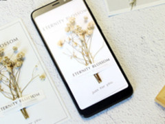 千元机也能各有特色 盘点最值得买的千元机