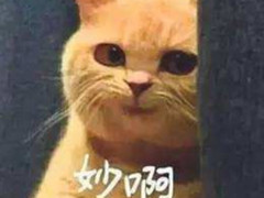 手机这么个小功能 竟是女神垂青的绝妙方案?