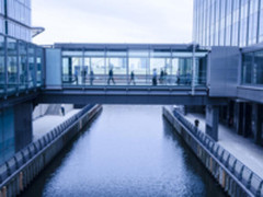 SDx界新概念：如何规划和迁移SD-branch