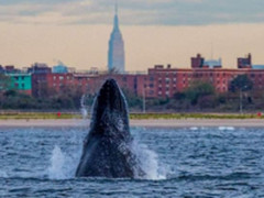 Docker“生死”记，这条船还能开出去多远？