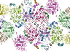 ASC18将要挑战最新诺贝尔奖科学应用优化
