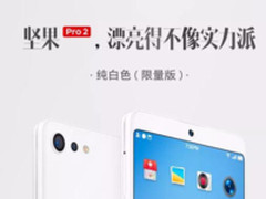 漂亮的不像实力派　老罗带来一款限量版新品