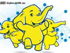 Ness SES首席技术官：最终，Hadoop老了！