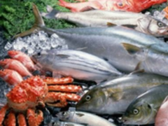 黑幕不断的海鲜业,能否靠区块链拨乱反正?