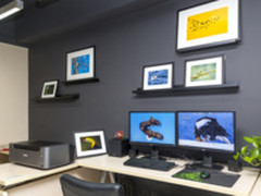 此时春风得意马蹄疾 最是一年“打鸟”季